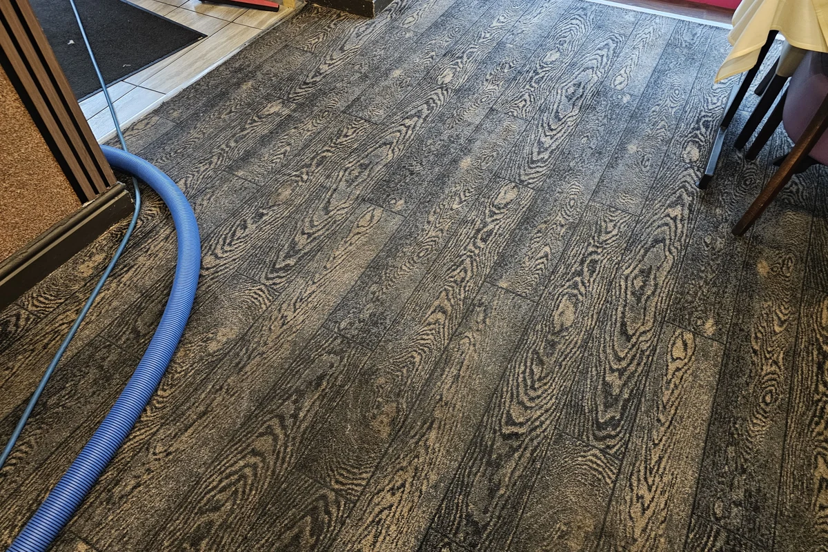 Commercial carpet after professional cleaning by Exact Clean