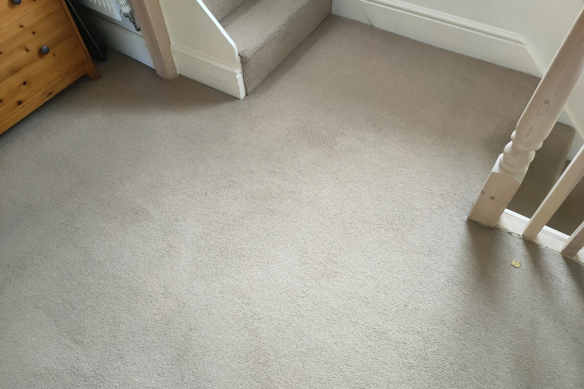 Residential carpet after professional cleaning by Exact Clean
