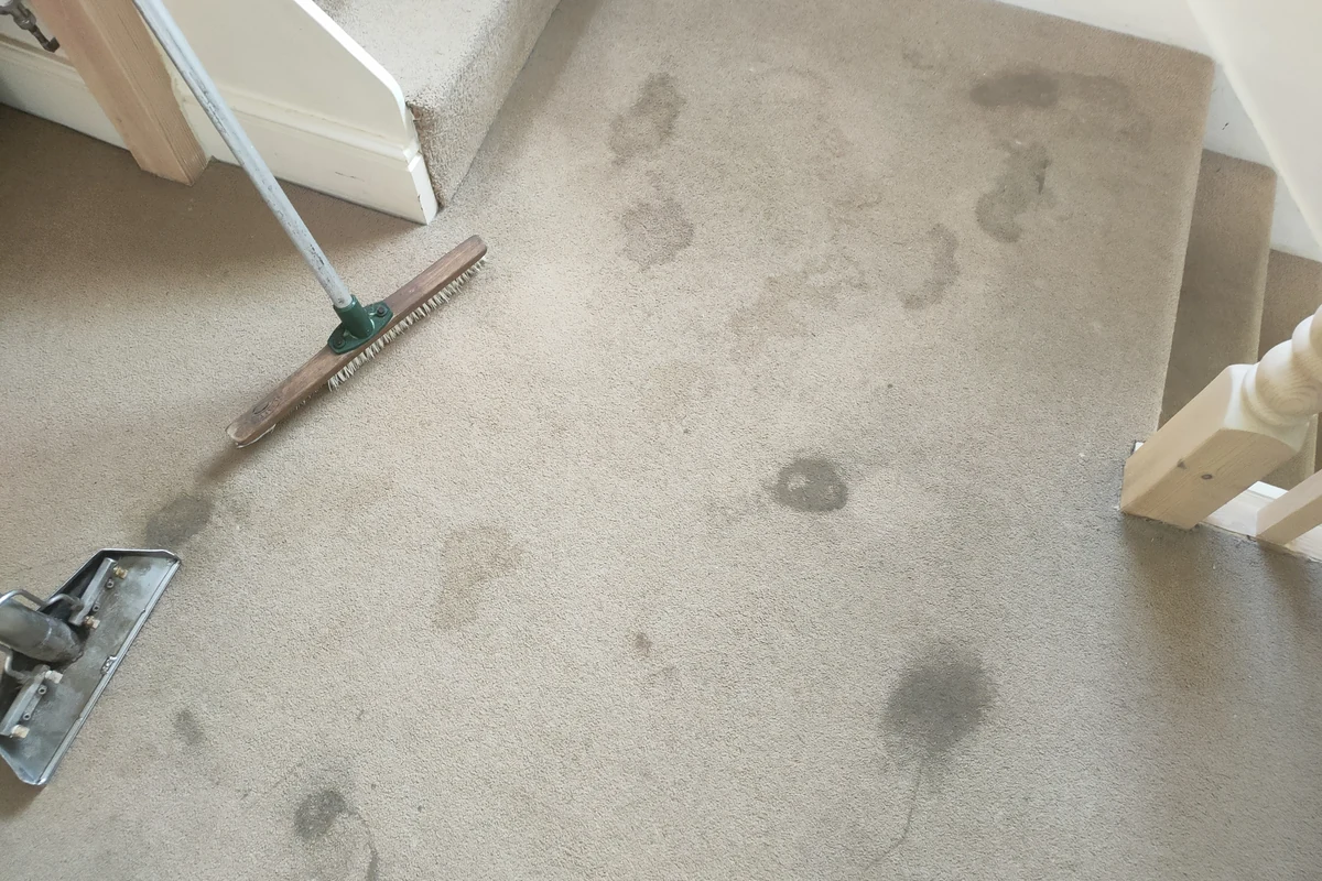 Residential carpet before professional cleaning by Exact Clean