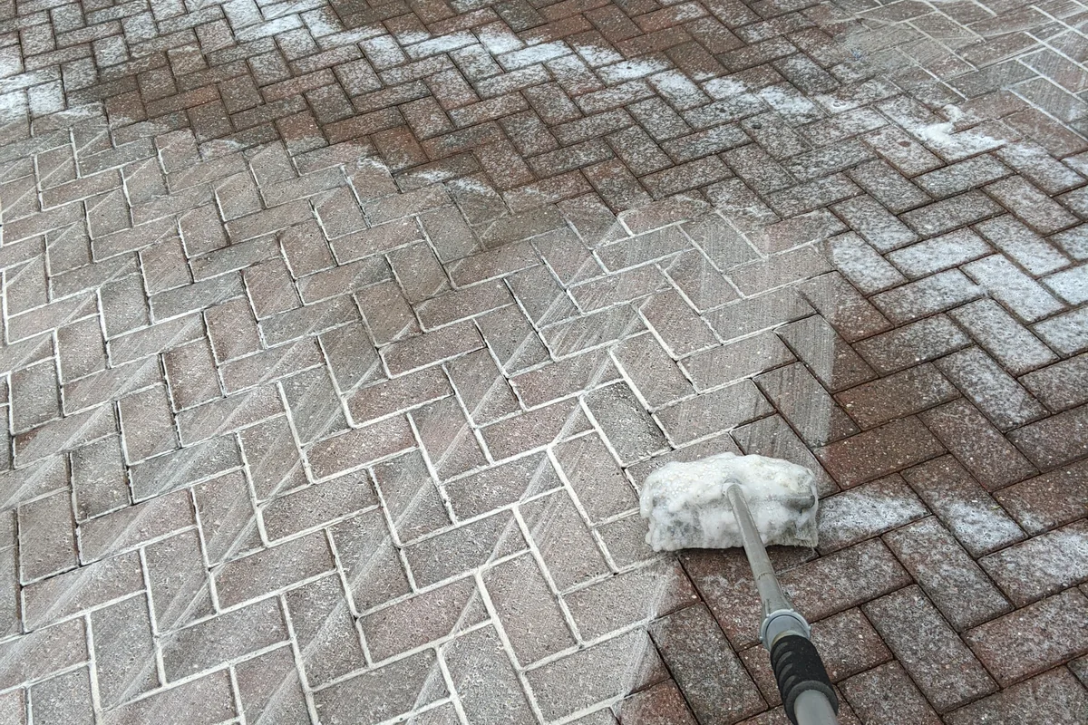 Driveway and patio algae treatment by Exact Clean