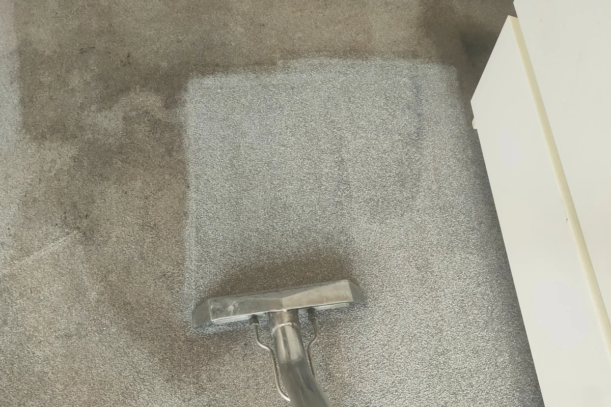 Residential carpet cleaning in progress by Exact Clean using professional extraction equipment