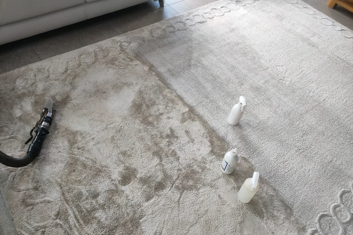 Residential rug cleaning in progress by Exact Clean