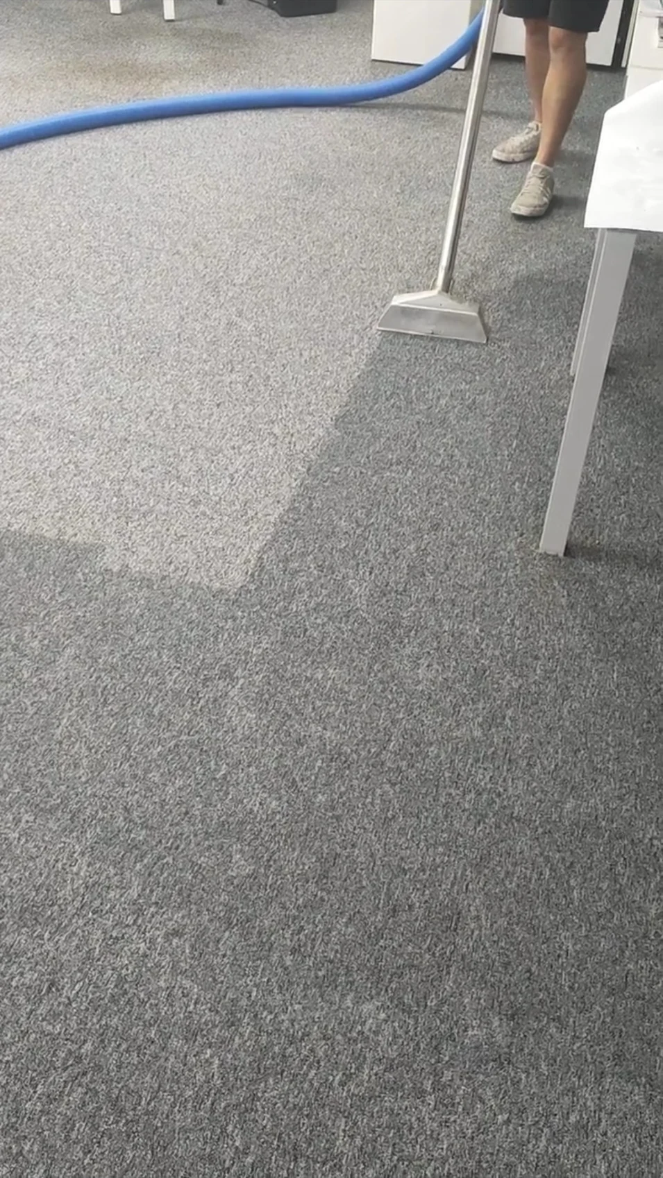 Professional water extraction from carpet by Exact Clean