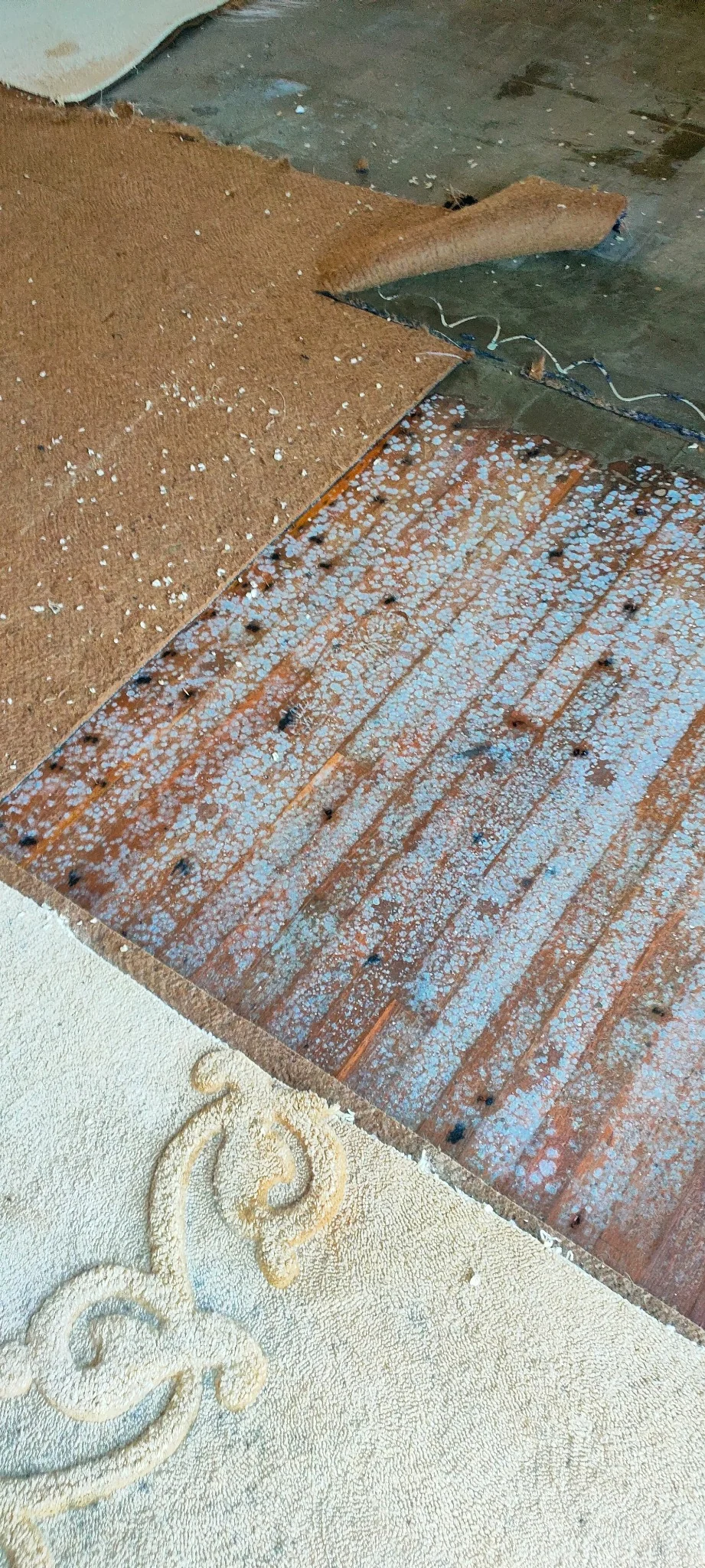 Flood affected carpet being removed to expose the floor beneath