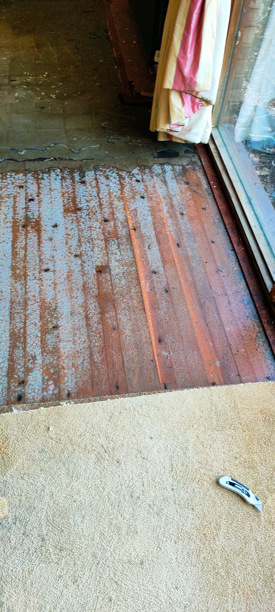 Exposed subfloor after flood affected carpet was lifted