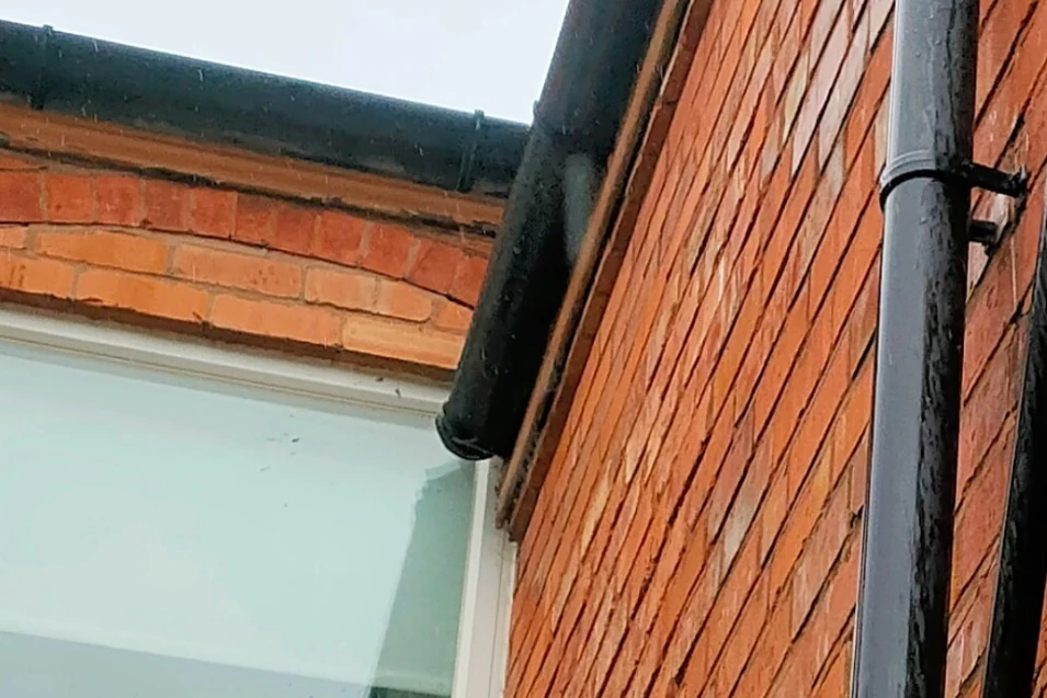 Residential gutter after professional cleaning by Exact Clean