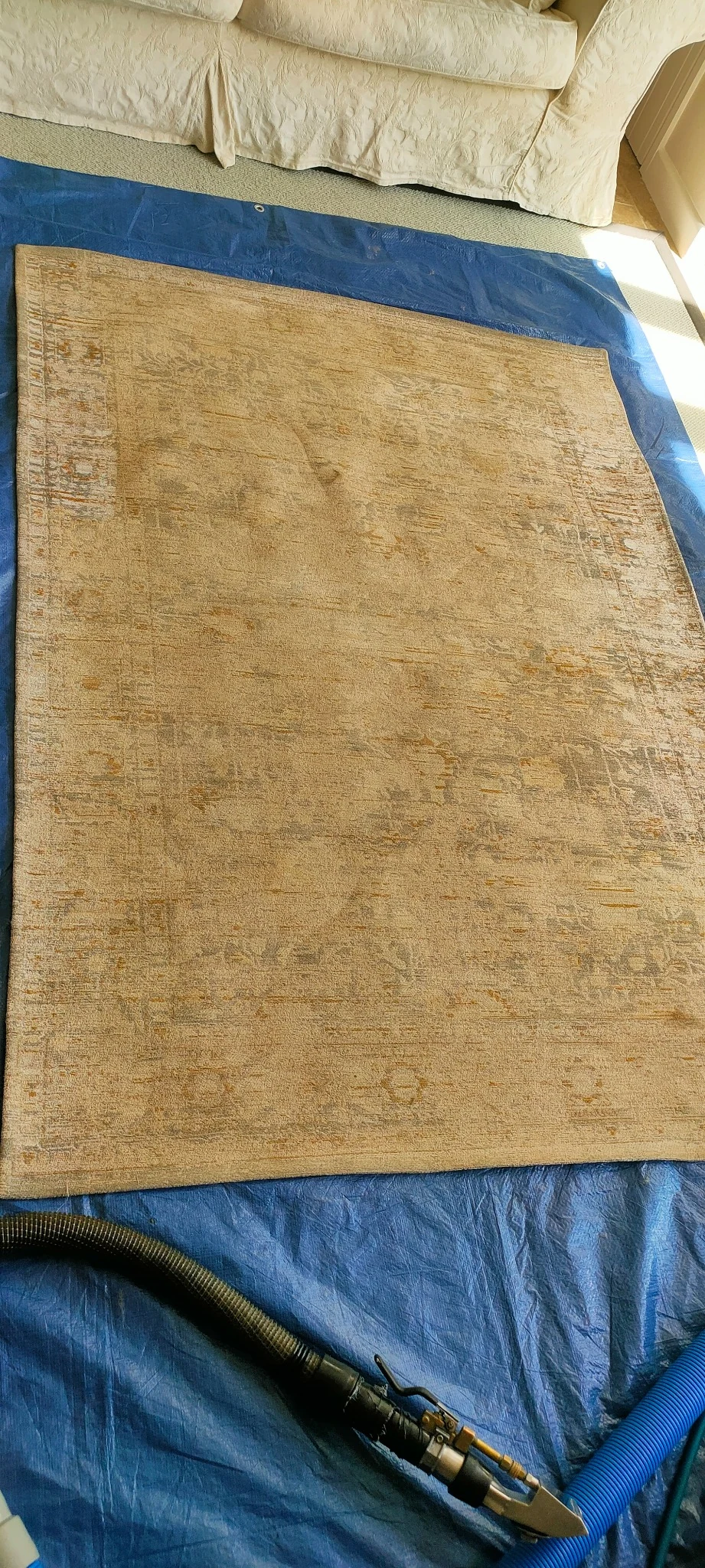 Residential rug after professional cleaning by Exact Clean