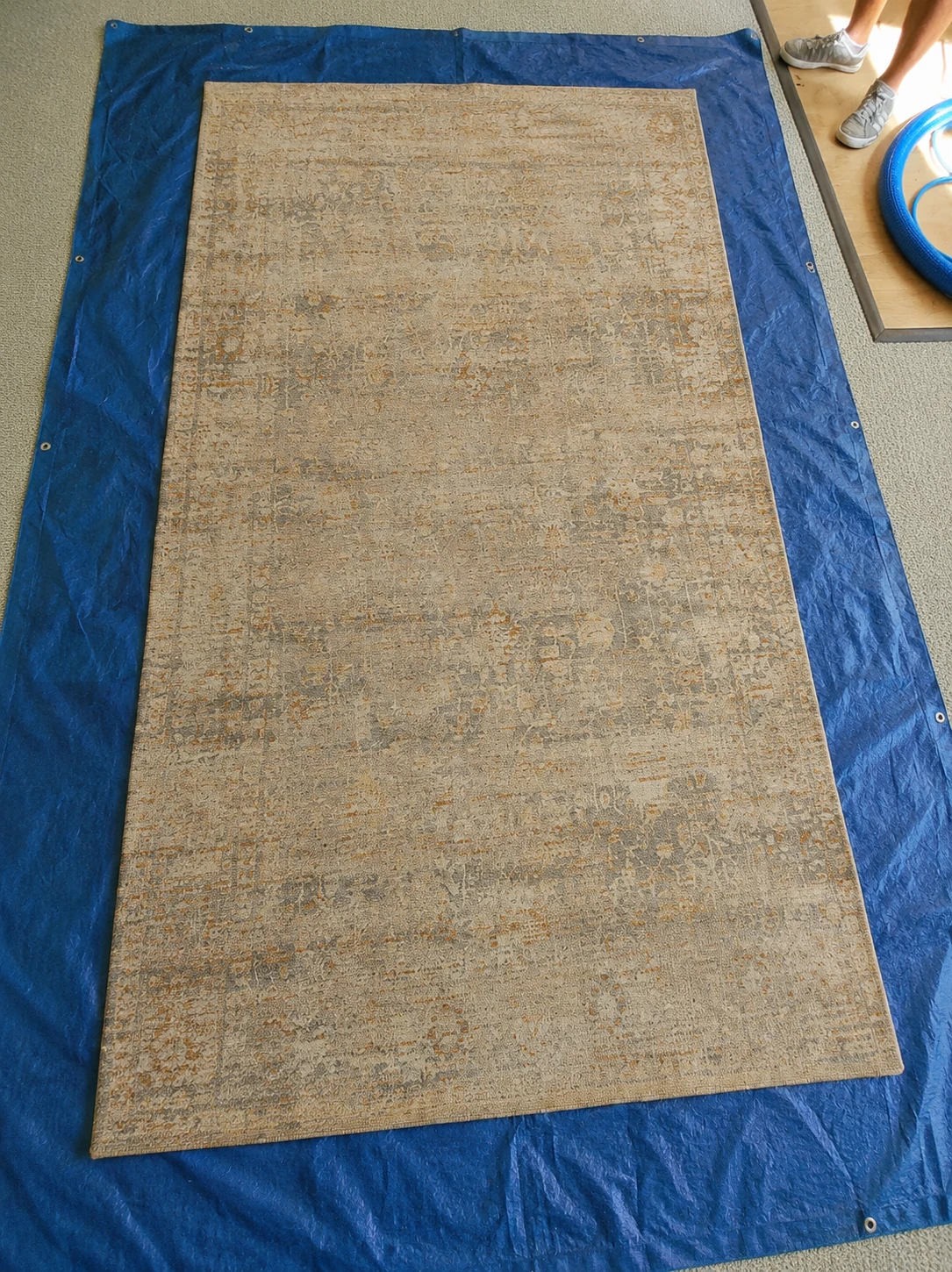 Residential rug before professional cleaning by Exact Clean